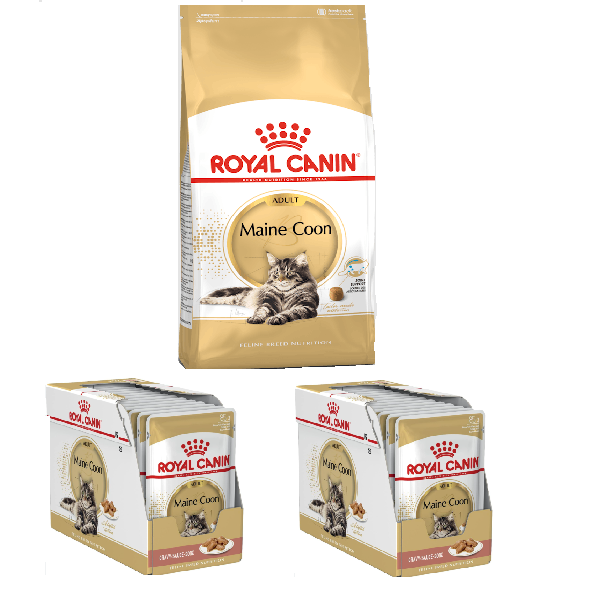 Offerta Royal Canin Maine Coon - 4kg Crocchette + 2x12x85g Umido Offerta Royal Canin Maine Coon - 4kg Crocchette + 2x12x85g Umido